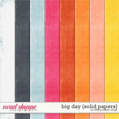 Big Day {solid papers} by Little Butterfly Wings