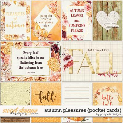 Autumn Pleasures Pocket Cards by Ponytails
