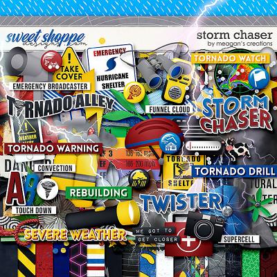 Storm Chaser by Meagan's Creations