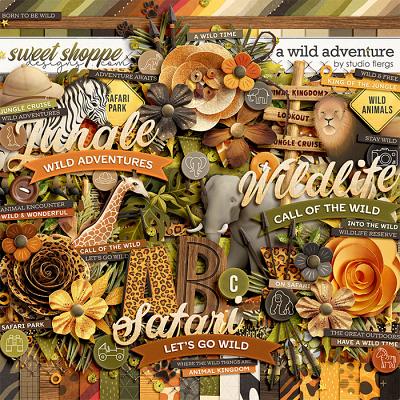A Wild Adventure by Studio Flergs