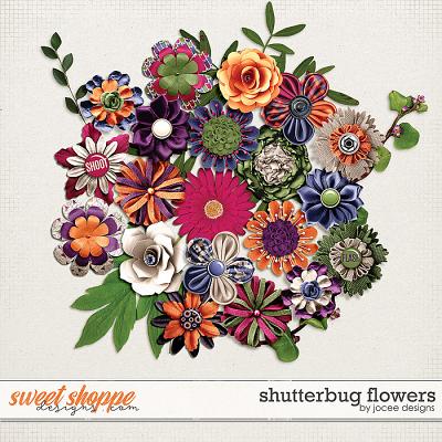Shutterbug Flowers by JoCee Designs