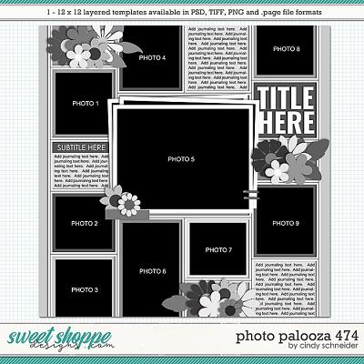 Cindy's Layered Templates - Photo Palooza 474 by Cindy Schneider
