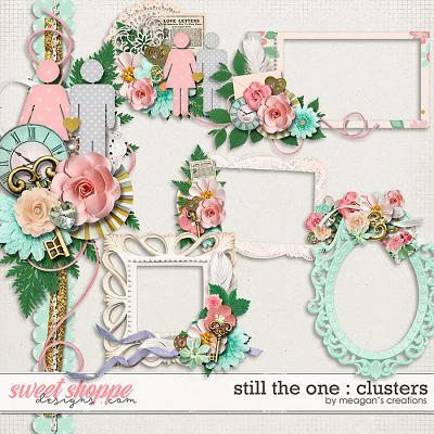 Still the One : Clusters by Meagan's Creations