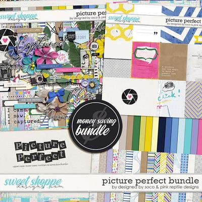 Picture Perfect Bundle by Pink Reptile Designs and Designed by Soco