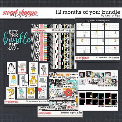 12 MONTHS OF YOU: THE BUNDLE by Janet Phillips