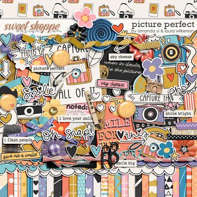 Picture Perfect by Amanda Yi and Laura Wilkerson