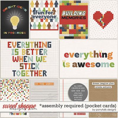 Assembly Required Pocket Cards by Ponytails