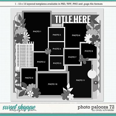 Cindy's Layered Templates - Photo Palooza 72 by Cindy Schneider