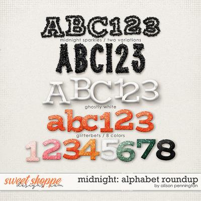 Midnight: Alphabet Roundup by Allison Pennington