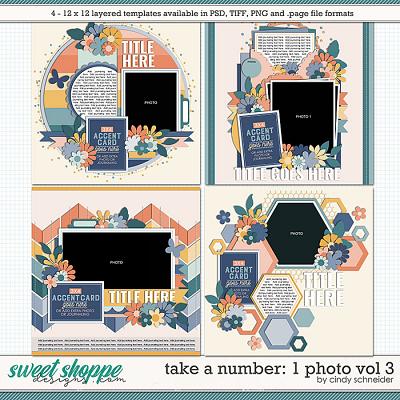 Cindy's Layered Templates - Take a Number: 1 Photo Vol. 3 by Cindy Schneider