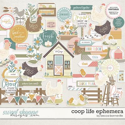 Coop Life Ephemera by Becca Bonneville 