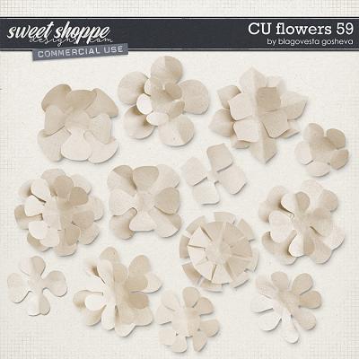 CU Flowers 59 by Blagovesta Gosheva