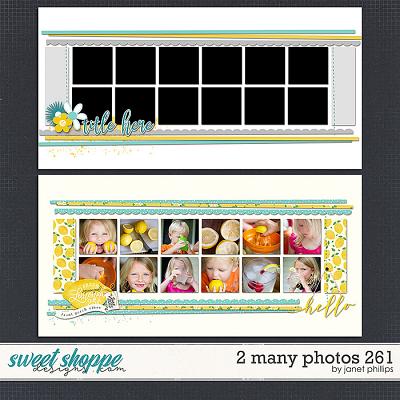 2 MANY PHOTOS 261 by Janet Phillips
