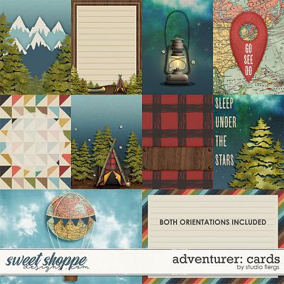 Adventurer: CARDS by Studio Flergs