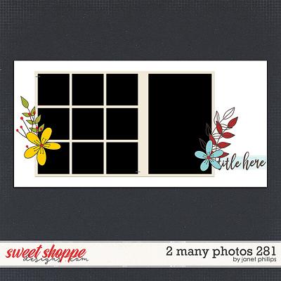 2 MANY PHOTOS 281 by Janet Phillips