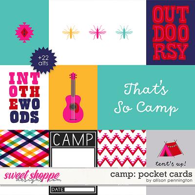 Camp: Pocket Cards by Allison Pennington