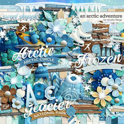 An Arctic Adventure by Studio Flergs