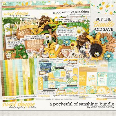 A Pocketful of Sunshine: Bundle by Kristin Cronin-Barrow