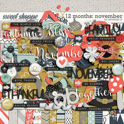 12 Months: November by Amanda Yi