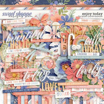 Enjoy Today by Kristin Cronin-Barrow