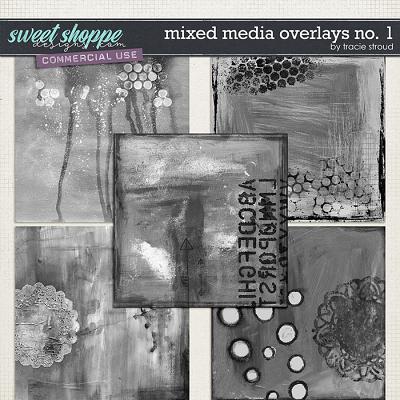 CU Mixed Media Overlays no. 1 by Tracie Stroud