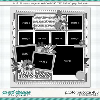 Cindy's Layered Templates - Photo Palooza 463 by Cindy Schneider