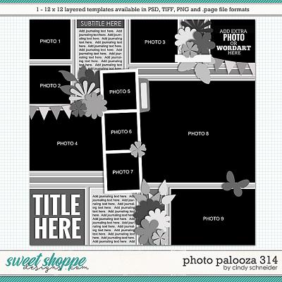 Cindy's Layered Templates - Photo Palooza 314 by Cindy Schneider