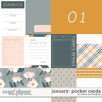 January: Pocket Cards by Allison Pennington