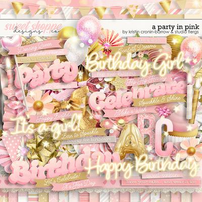 A Party in Pink by Kristin Cronin-Barrow & Studio Flergs