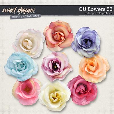 CU Flowers 53 by Blagovesta Gosheva