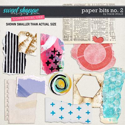 CU Paper Bits no. 2 by Tracie Stroud