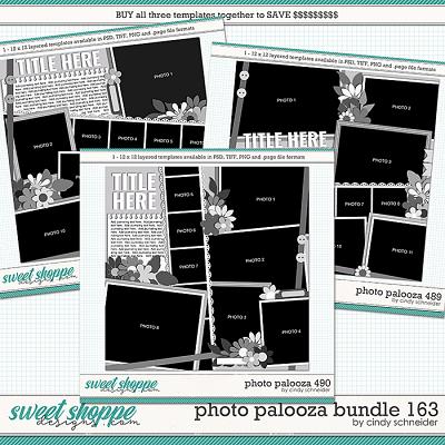 Cindy's Layered Templates - Photo Palooza Bundle 163 by Cindy Schneider