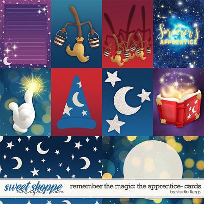 Remember the Magic: THE APPRENTICE- CARDS by Studio Flergs