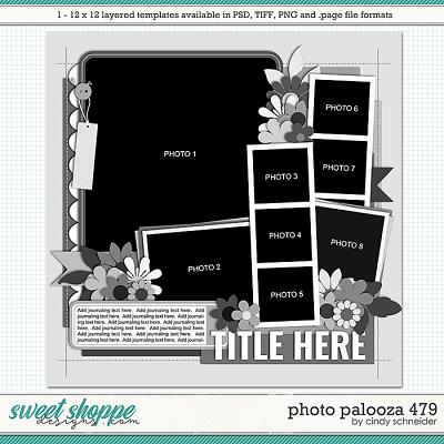 Cindy's Layered Templates - Photo Palooza 479 by Cindy Schneider