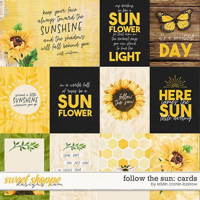Follow the Sun: Cards by Kristin Cronin-Barrow 