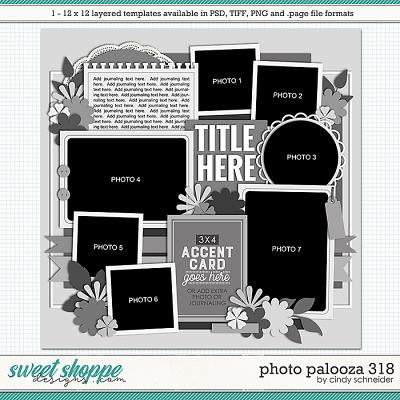 Cindy's Layered Templates - Photo Palooza 318 by Cindy Schneider