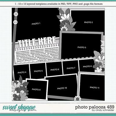 Cindy's Layered Templates - Photo Palooza 489 by Cindy Schneider