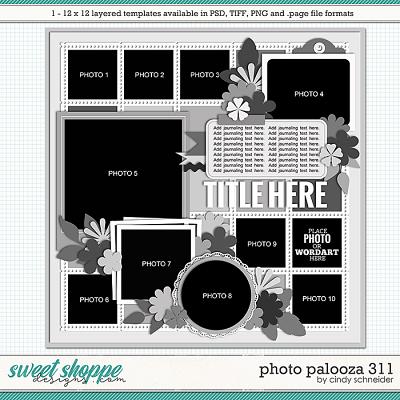 Cindy's Layered Templates - Photo Palooza 311 by Cindy Schneider