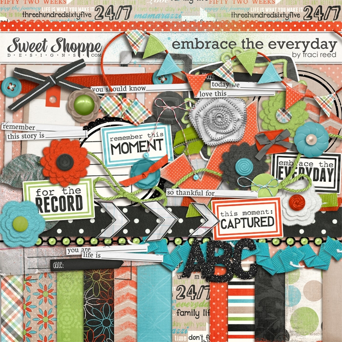 Embrace The Everyday by Traci Reed
