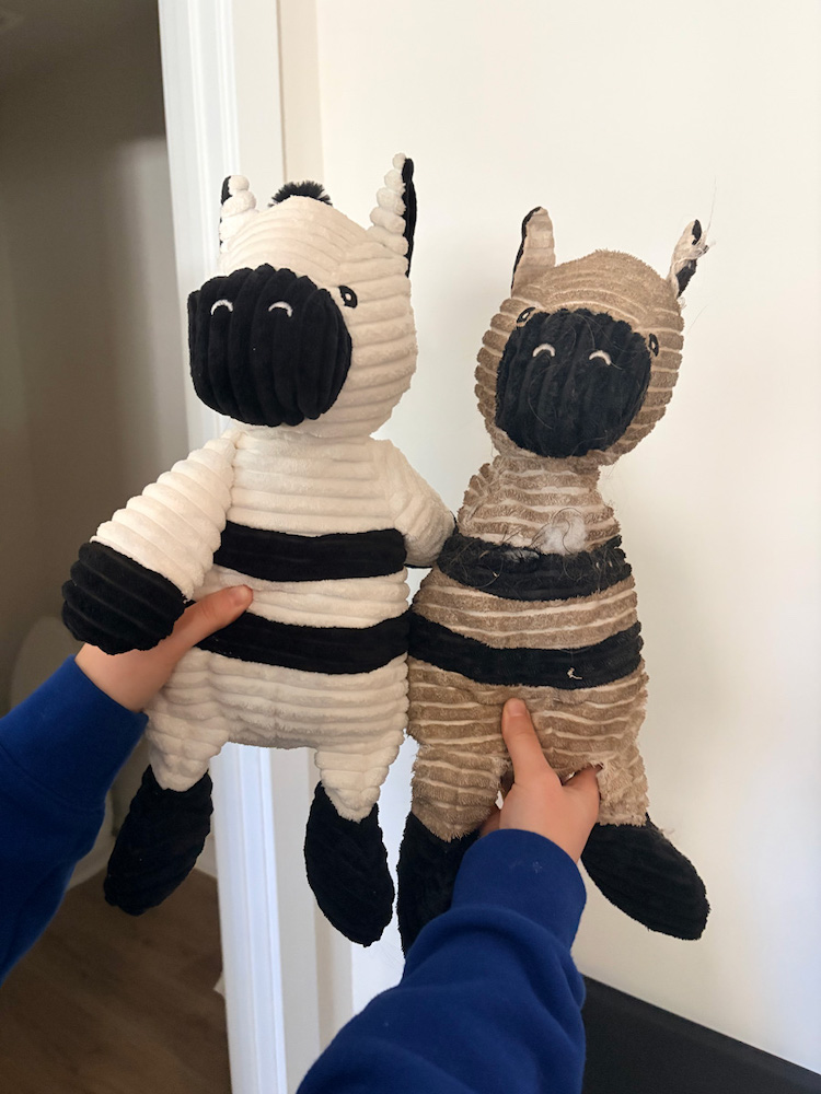 ebayzebra.jpg