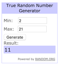 expert-winner.png