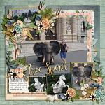 Layout by Sarah