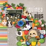 Layout by Kim using Little Pets Guinea Pig by lliella designs