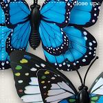CU Butterflies 3 by lliella designs