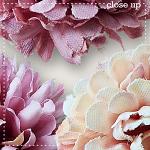 CU Flowers 4 by lliella designs