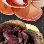 CU Flowers 6 by lliella designs