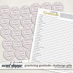Practicing Gratitude Thankful Prompt PDF and FWP Labels Preview by Connection Keeping