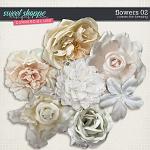 Commercial Use Flowers 02 Preview by Connection Keeping
