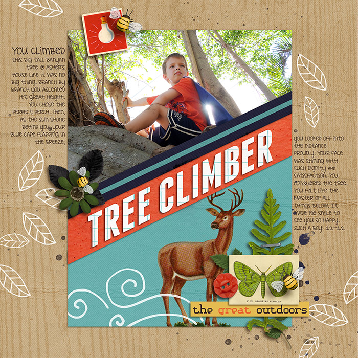 01-12-treeclimberWEB-cb1cab6b27.jpg