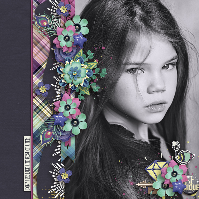 1b21690b5c7b.jpg-478a17e319.png